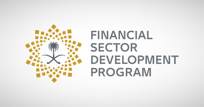 Financial Development Program