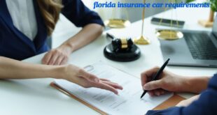 florida insurance car requirements