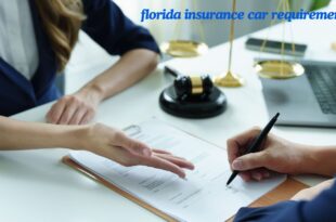 florida insurance car requirements